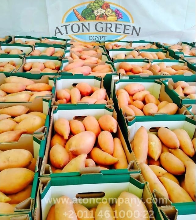 Aton Green Egypt Fresh Fruits & Vegetables